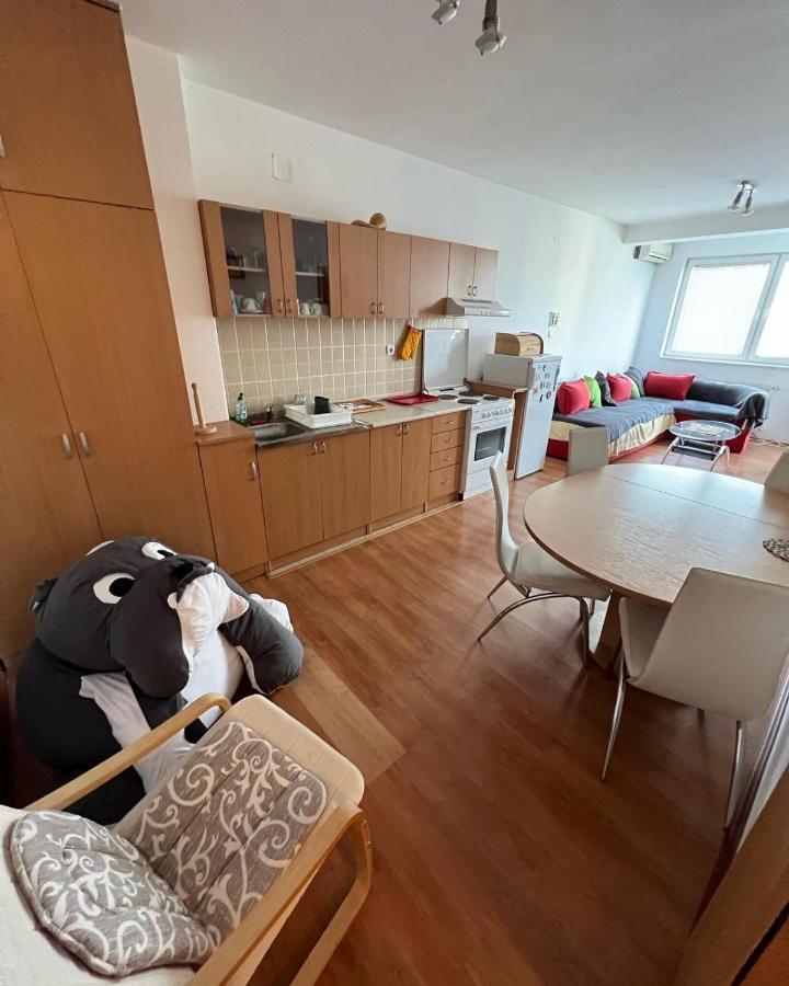 Apartments D&D Požarevac Eksteriør billede